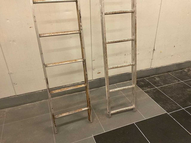 Ladder (2x) - afbeelding 3 van  5