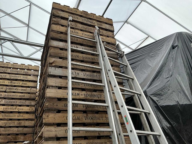 Ladder (3x) - afbeelding 3 van  3