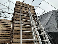 Ladder (3x) - afbeelding 3 van  3