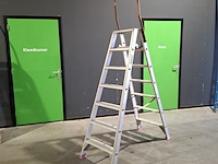 Ladder en 2x a trap - afbeelding 9 van  13