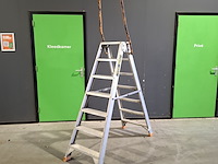 Ladder en 2x a trap - afbeelding 13 van  13