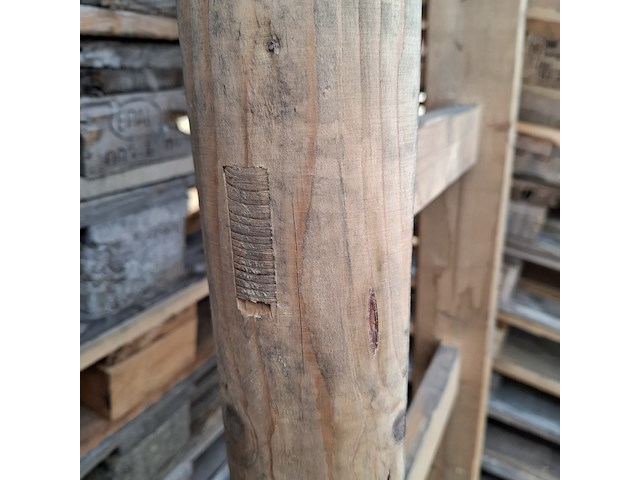 Ladder, layher, 1036.010., licht bruin - afbeelding 4 van  5
