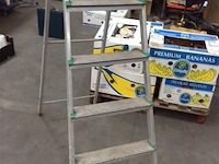 Ladder - afbeelding 2 van  2