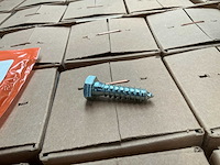 Lag screw (318x) - afbeelding 1 van  1
