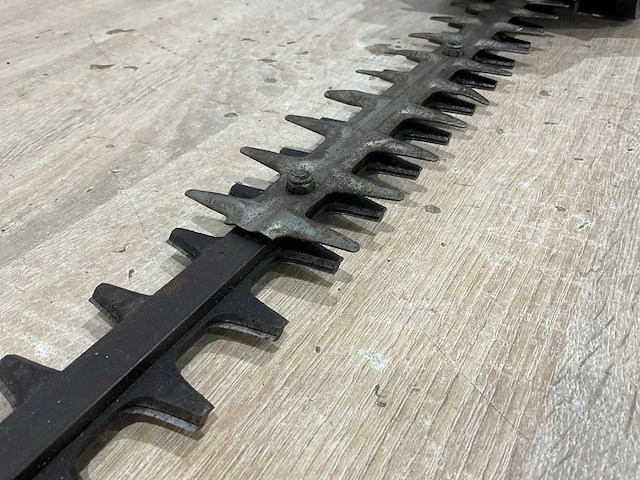 Landgoed - 2009 - bht 60 - heggenschaar - afbeelding 6 van  7