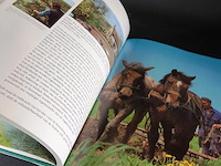 Landleven - afbeelding 4 van  5