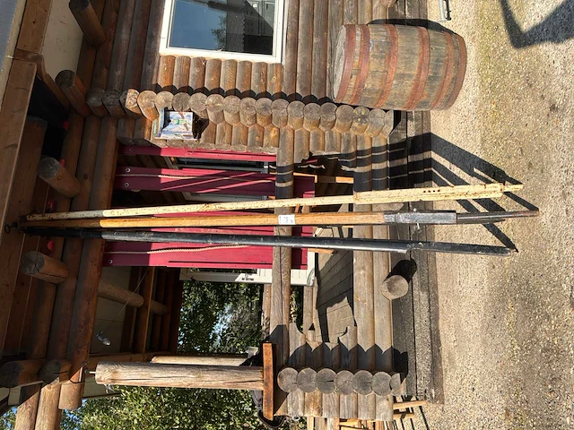 Langboom (4x) - afbeelding 2 van  4