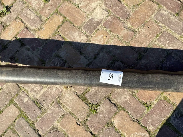 Langboom - afbeelding 3 van  4