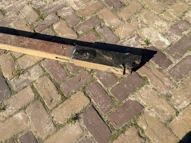Langboom - afbeelding 2 van  3