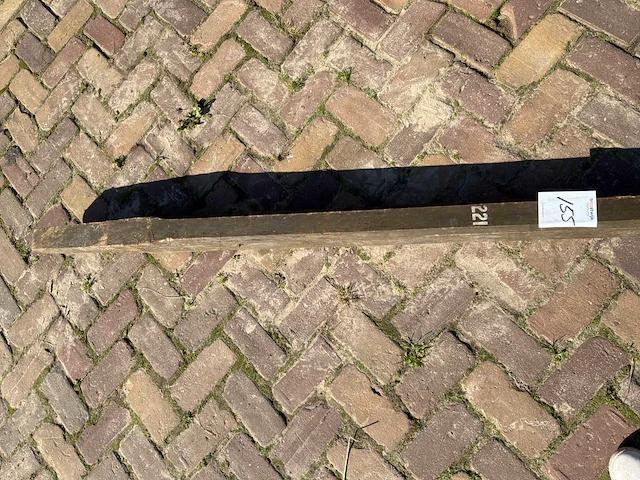Langboom - afbeelding 3 van  3
