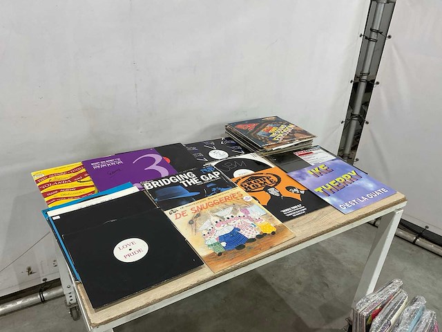 Langspeelplaat (40x) - afbeelding 2 van  7