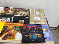 Langspeelplaat (40x) - afbeelding 7 van  7