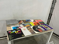 Langspeelplaat (40x) - afbeelding 2 van  9