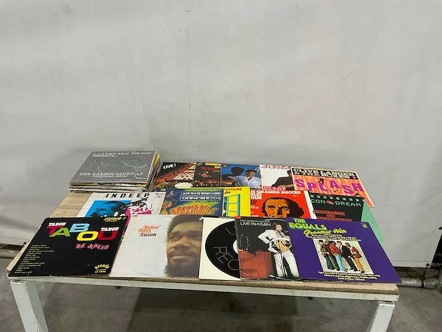 Langspeelplaat (40x) - afbeelding 3 van  9