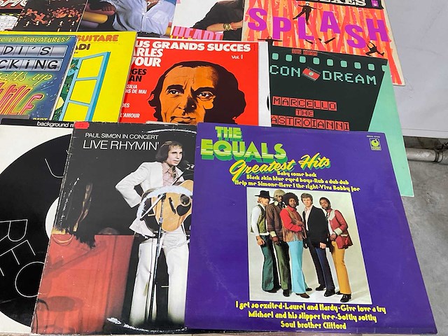 Langspeelplaat (40x) - afbeelding 6 van  9