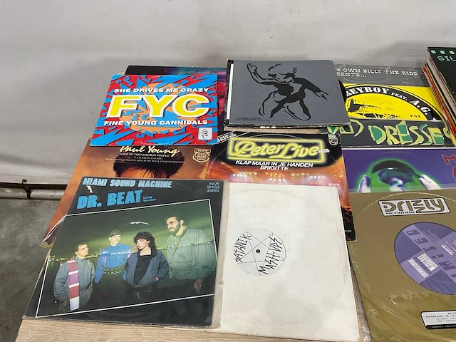 Langspeelplaat (40x) - afbeelding 8 van  9