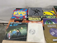 Langspeelplaat (40x) - afbeelding 8 van  9