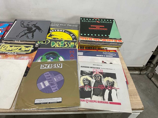 Langspeelplaat (40x) - afbeelding 9 van  9