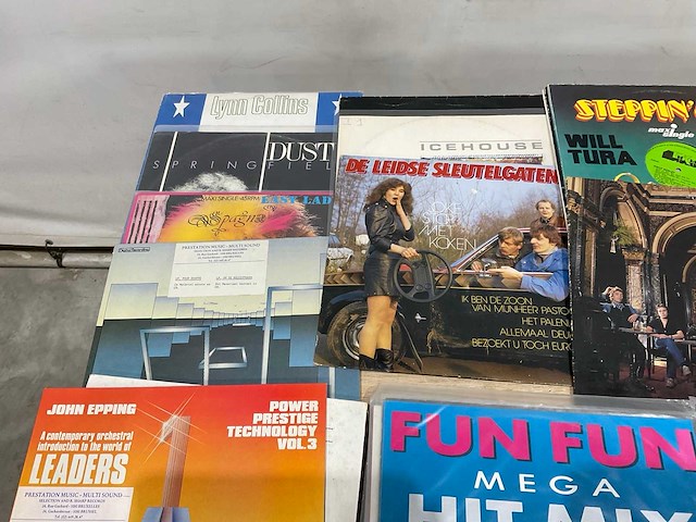 Langspeelplaat (40x) - afbeelding 4 van  9