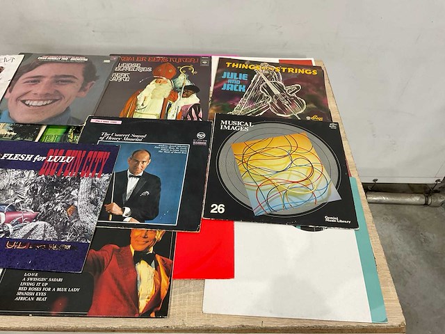 Langspeelplaat (40x) - afbeelding 9 van  9