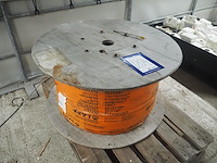 Lapp - afbeelding 1 van  6