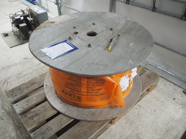 Lapp - afbeelding 2 van  6