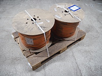 Lapp - afbeelding 4 van  8