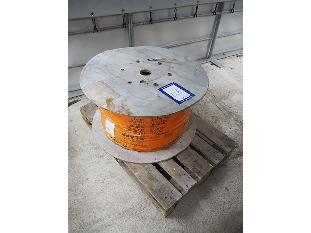 Lapp - afbeelding 1 van  6