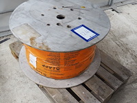 Lapp - afbeelding 1 van  6