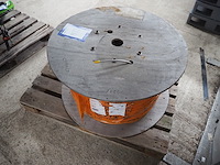Lapp - afbeelding 3 van  6
