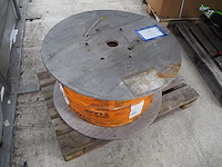 Lapp - afbeelding 4 van  6