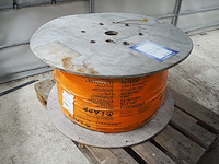 Lapp - afbeelding 5 van  6