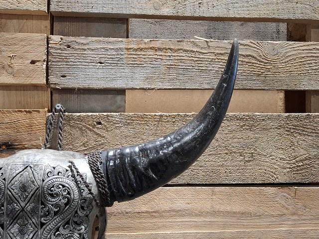Large hand gegraveerde smoked buffalo schedel, 2024 - afbeelding 5 van  9
