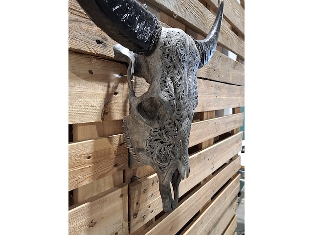 Large hand gegraveerde smoked buffalo schedel, 2024 - afbeelding 7 van  9