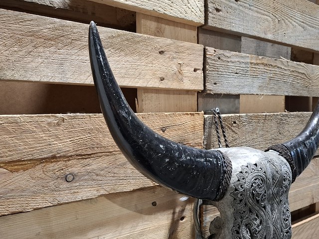 Large hand gegraveerde smoked buffalo schedel, 2024 - afbeelding 8 van  9