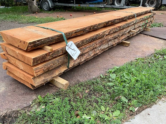 Lariks stam 50 mm ca. 0,236 m³ - afbeelding 1 van  5
