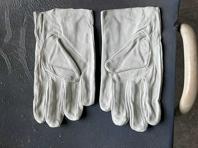 Las handschoenen per paar (300x) - afbeelding 1 van  3
