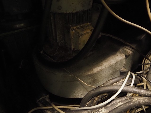 Laska - afbeelding 11 van  25