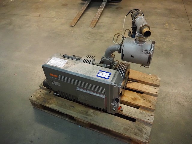 Laska - afbeelding 14 van  25