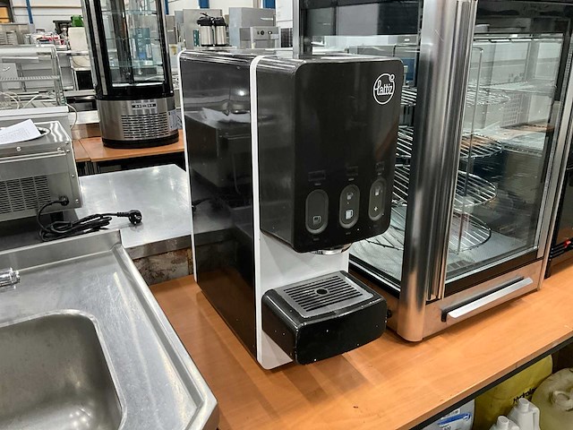 Latizz - aequator - melkopschuimer - afbeelding 1 van  6