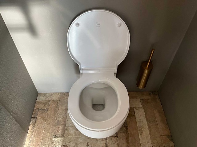 Laufen val toiletcombinatie - afbeelding 5 van  10