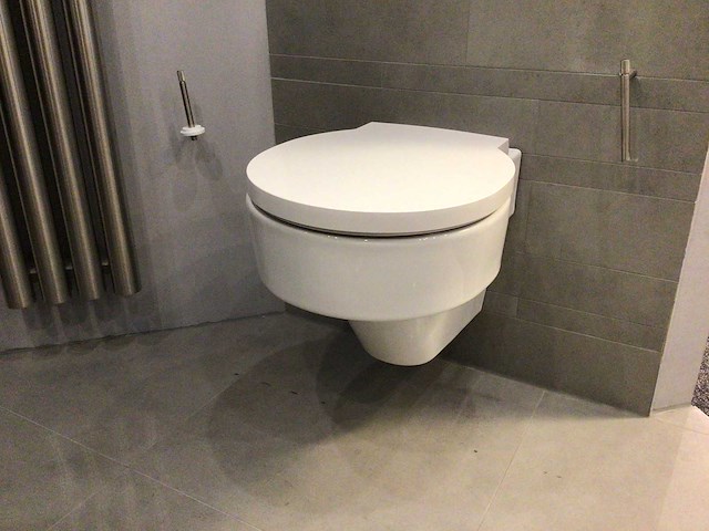 Laufen val wandcloset - afbeelding 5 van  5