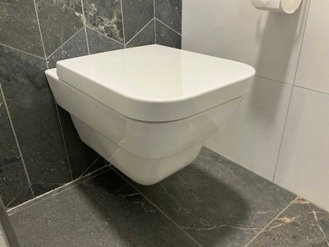 Laufen viega visign wandcloset - afbeelding 5 van  6