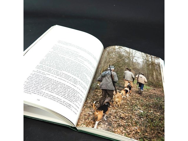 Le grand gibier - afbeelding 5 van  5