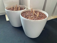 Lechuza hydrocultuurpot (9x) - afbeelding 2 van  5