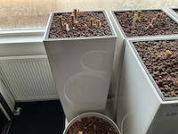 Lechuza hydrocultuurpot (9x) - afbeelding 4 van  5