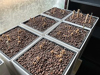 Lechuza hydrocultuurpot (9x) - afbeelding 5 van  5