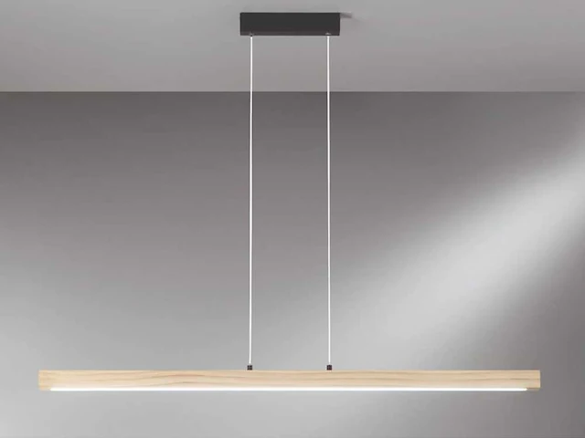 Led joseph s125 design pendel armatuur - afbeelding 1 van  6