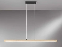 Led joseph s125 design pendel armatuur