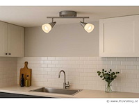 Led plafondlamp – 2 spots – di03 – 2 x 5w – zilver (x8) - afbeelding 1 van  4